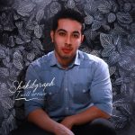 دانلود آهنگ Shakibgraph I Will arrive